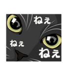 ねこちゃんぷるー 1皿目（個別スタンプ：20）