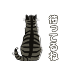 ねこちゃんぷるー 1皿目（個別スタンプ：24）