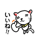 シロの毎日。（個別スタンプ：7）