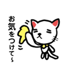 シロの毎日。（個別スタンプ：21）
