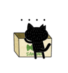 ミドリ目の黒ネコのシンプルスタンプ（個別スタンプ：12）