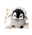 もふもふペンギン3（個別スタンプ：2）