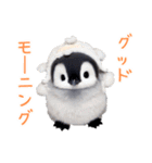 もふもふペンギン3（個別スタンプ：7）