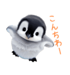 もふもふペンギン3（個別スタンプ：8）