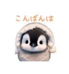 もふもふペンギン3（個別スタンプ：9）