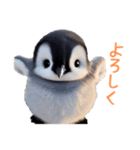 もふもふペンギン3（個別スタンプ：12）