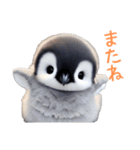 もふもふペンギン3（個別スタンプ：13）