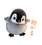 もふもふペンギン3（個別スタンプ：17）