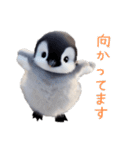 もふもふペンギン3（個別スタンプ：19）