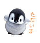 もふもふペンギン3（個別スタンプ：20）