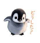 もふもふペンギン3（個別スタンプ：23）