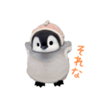 もふもふペンギン3（個別スタンプ：26）
