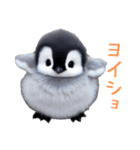 もふもふペンギン3（個別スタンプ：30）