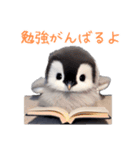 もふもふペンギン3（個別スタンプ：33）