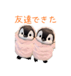 もふもふペンギン3（個別スタンプ：34）