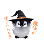 もふもふペンギン3（個別スタンプ：38）