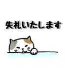 敬語☆ゴロゴロしてるゆるかわネコ♡猫の日（個別スタンプ：14）