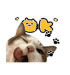 ラブリィ猫ちゃ〜ゆず＆しらたま〜（個別スタンプ：5）