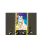 ラブリィ猫ちゃ〜ゆず＆しらたま〜（個別スタンプ：36）