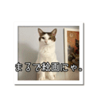 ラブリィ猫ちゃ〜ゆず＆しらたま〜（個別スタンプ：40）