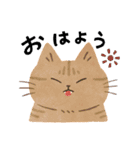 毎日ねこズ（個別スタンプ：1）