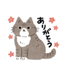 毎日ねこズ（個別スタンプ：3）