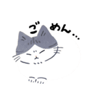 毎日ねこズ（個別スタンプ：4）