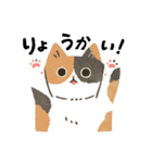 毎日ねこズ（個別スタンプ：5）