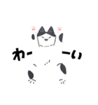毎日ねこズ（個別スタンプ：11）