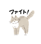 毎日ねこズ（個別スタンプ：15）