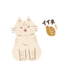 毎日ねこズ（個別スタンプ：17）