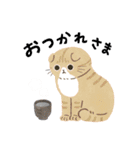 毎日ねこズ（個別スタンプ：18）