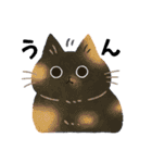 毎日ねこズ（個別スタンプ：19）