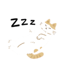 毎日ねこズ（個別スタンプ：20）