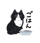 毎日ねこズ（個別スタンプ：22）
