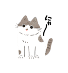 毎日ねこズ（個別スタンプ：23）