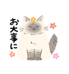 毎日ねこズ（個別スタンプ：24）