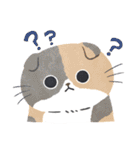 毎日ねこズ（個別スタンプ：27）