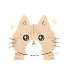 毎日ねこズ（個別スタンプ：29）