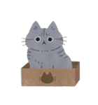 毎日ねこズ（個別スタンプ：34）