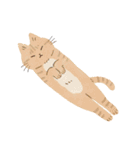 毎日ねこズ（個別スタンプ：36）