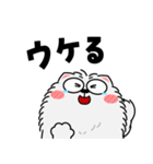 もふもふ猫★よく使う言葉（個別スタンプ：40）