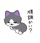 猫又のスミハチ（個別スタンプ：5）