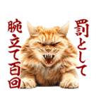 価値観が古すぎる猫（個別スタンプ：1）