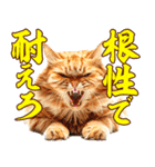 価値観が古すぎる猫（個別スタンプ：4）