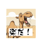 オヤジギャグ 生物編 No.0221（個別スタンプ：13）