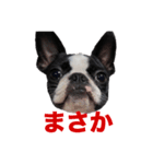リリーさんのスタンプ！（個別スタンプ：3）