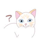 笹かま猫の日々（個別スタンプ：2）
