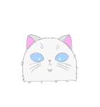 青い瞳のねこちゃん（個別スタンプ：3）