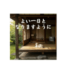 ほっとする昭和猫♡（個別スタンプ：14）